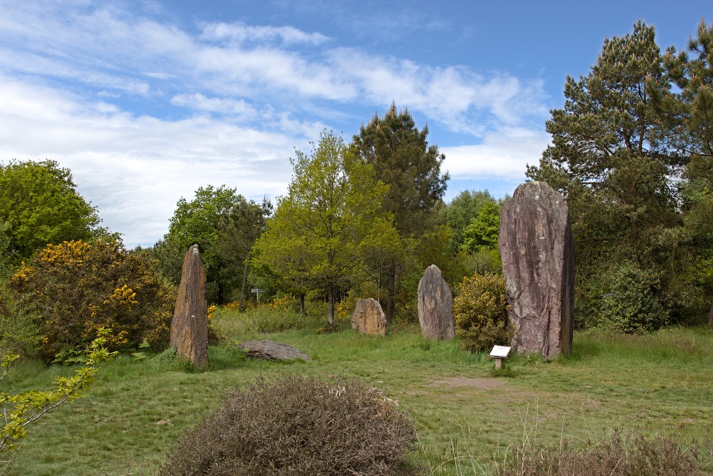 Megalithes megalieten megaliet carnac monteneuf champ dolent bretagne france frankrijk menhir obelix hdr menhirs morbihan asterix